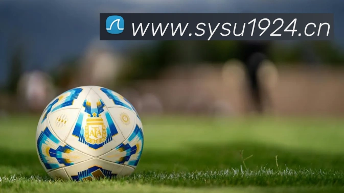 kaiyun官方网站平台生态图